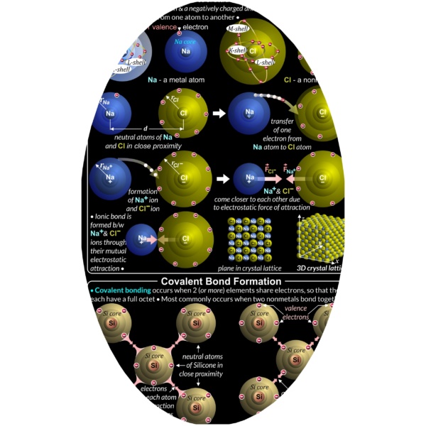 Inorganic Chemistry Poster - Covalent Bond Formation